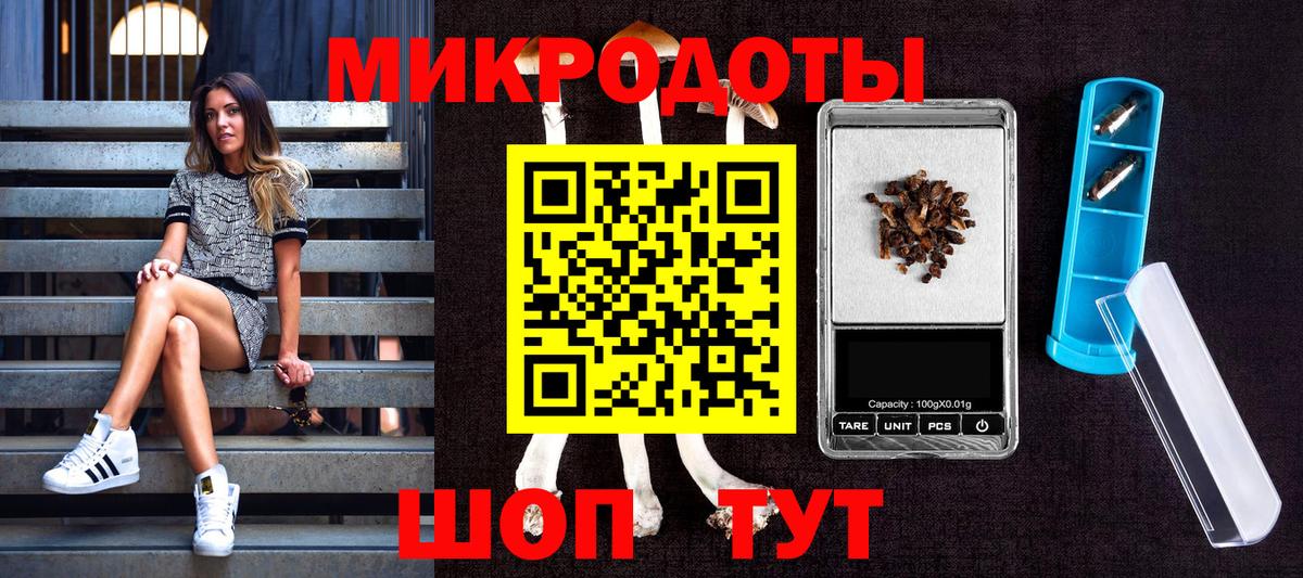 Псилоцибиновые грибы прущие грибы Камень-на-Оби