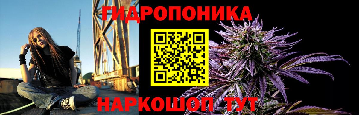 Камень-на-Оби  МАРИХУАНА THC 21%  Марихуана ГИДРОПОН  Вход с VPN 
